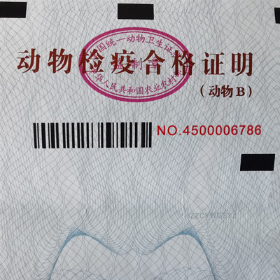 票证行业 检疫证 20A  红色荧光加可变条码